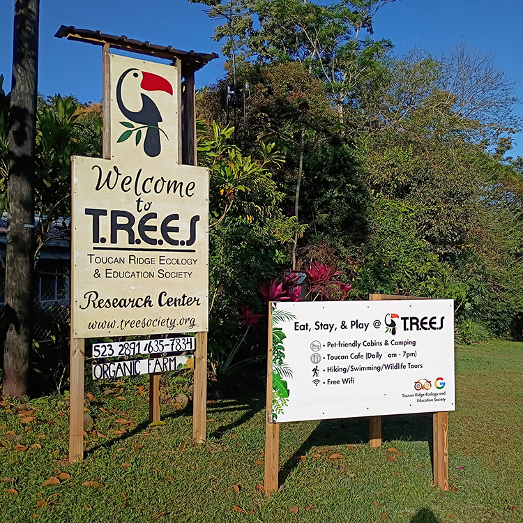 T.R.E.E.S. Research Center